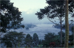 Jinja