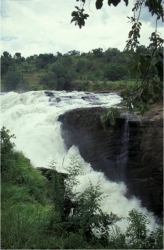 Murchison