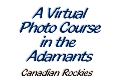 Slide show of the Adamants